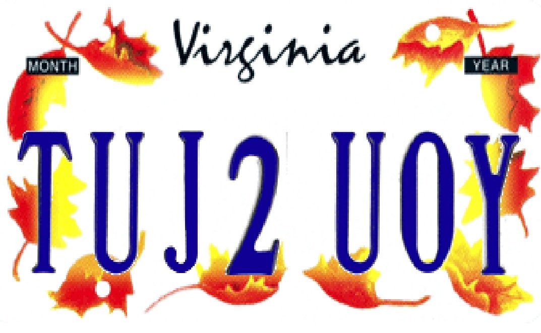 plate.jpg