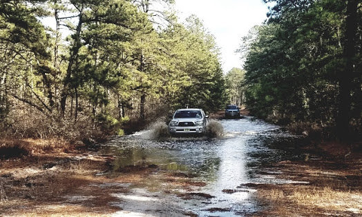 Playing in a puddle.jpg