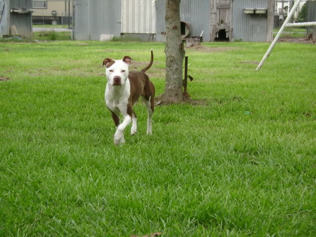 PlayingoutsidewithMe24_5459af25db33e1ca5e02373c4b8845ecdb2f54c7.jpg