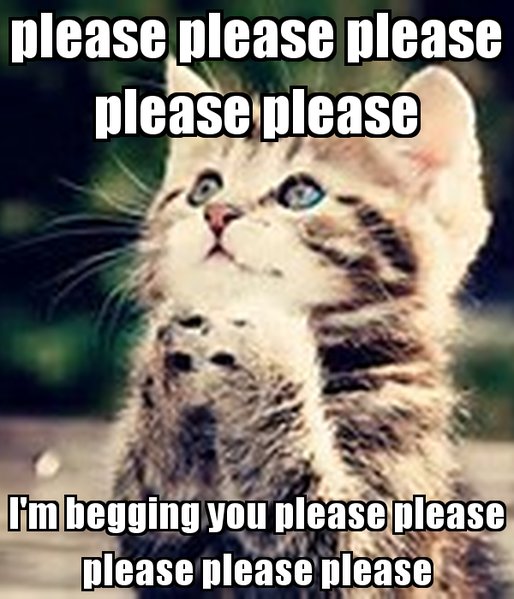please-please-please-please-please-i-m-begging-you-please-please-please-please-please.jpg