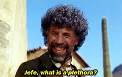plethora.jpg