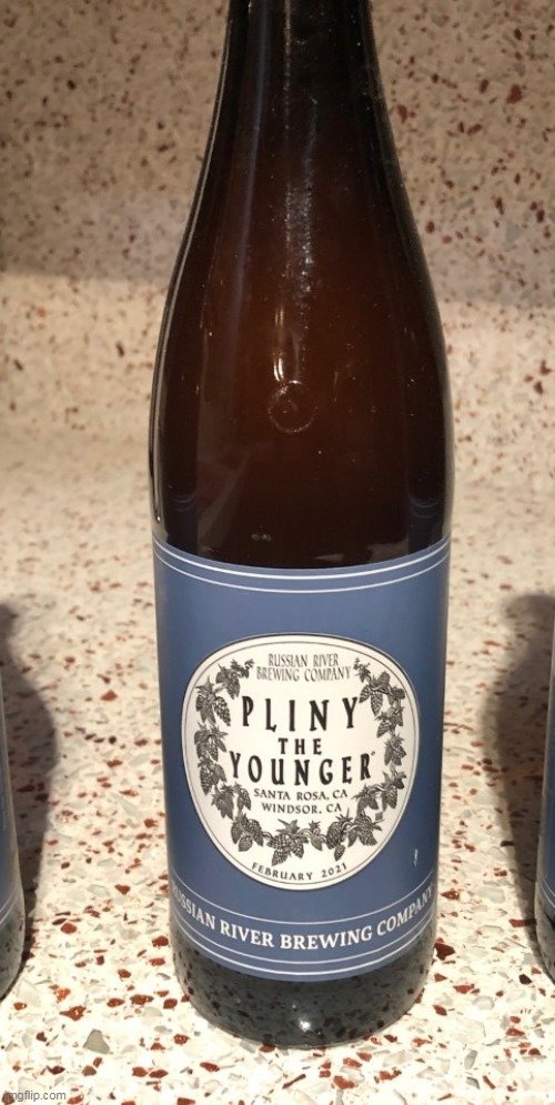 pliny.jpg