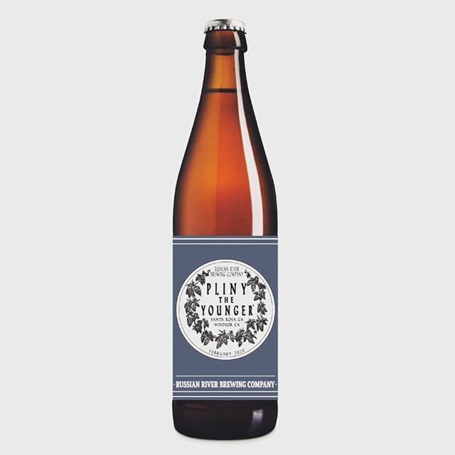 Pliny The Younger.jpg