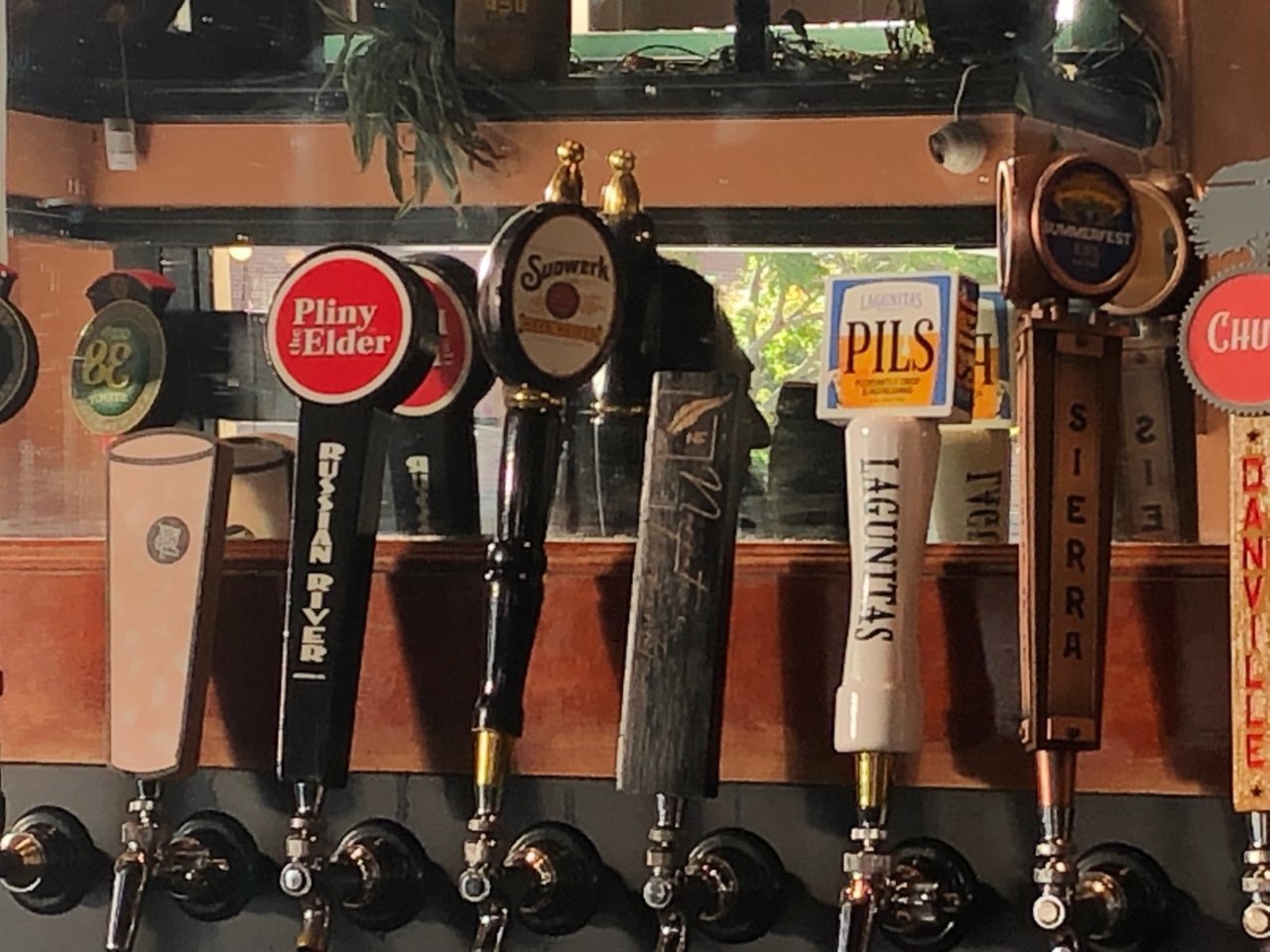 pliny1.jpg