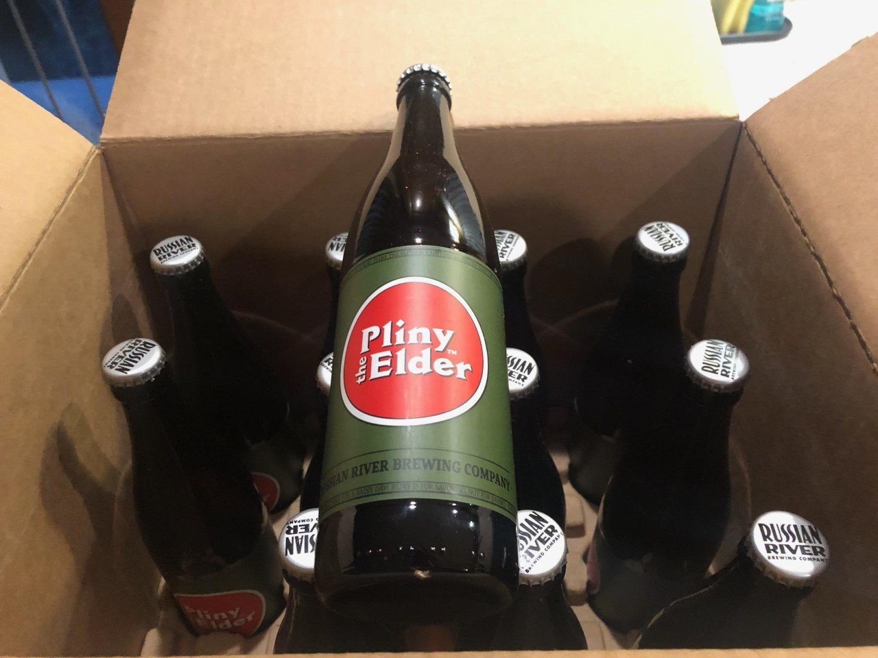 pliny11.jpg