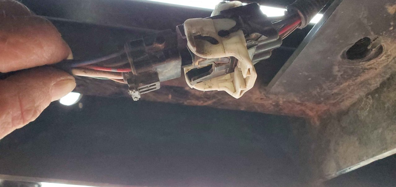 Plug 3.jpg