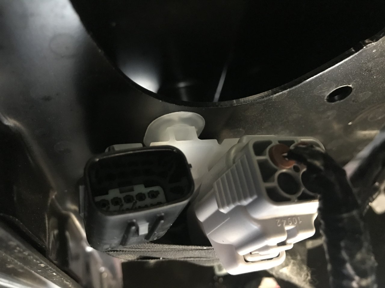 Plug.jpg