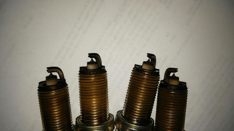 plugs 1.jpg