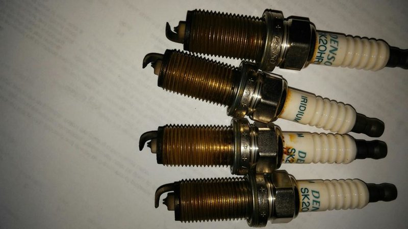 plugs 2.jpg
