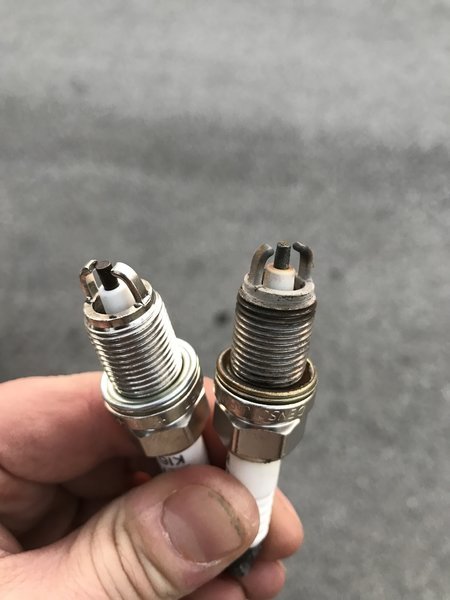 plugs.jpg