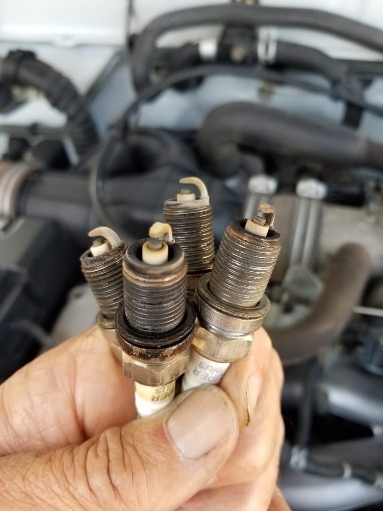 Plugs.jpg