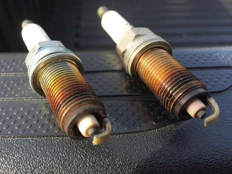 plugs.jpg