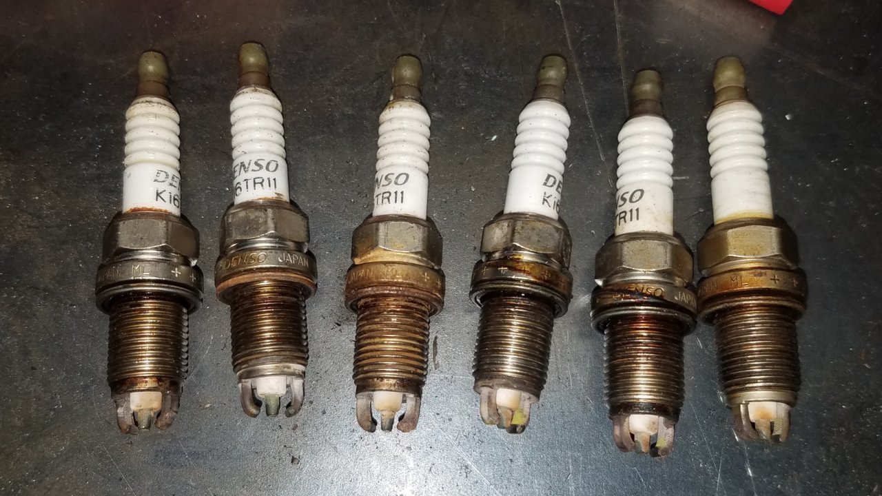 plugs.jpg