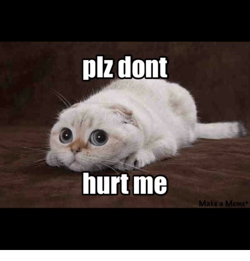 plz-dont-hurt-me-make-a-me-9973874.jpg