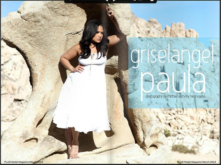 PMM-Tearsheet-003a.jpg