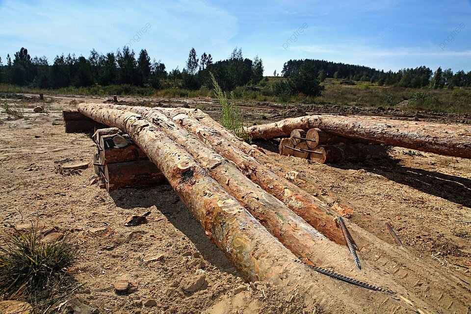 pngtree-wooden-logs-like-obstacle-for-test-drive-competition-logs-holdback-photo-image_23405908.jpg
