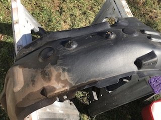 Pnt42.jpg