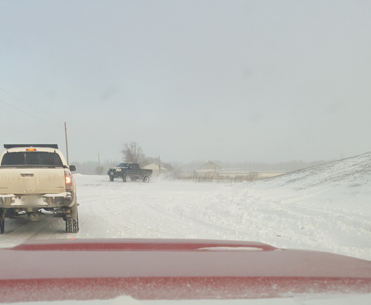 Point Blur_Jan202019_195611.jpg