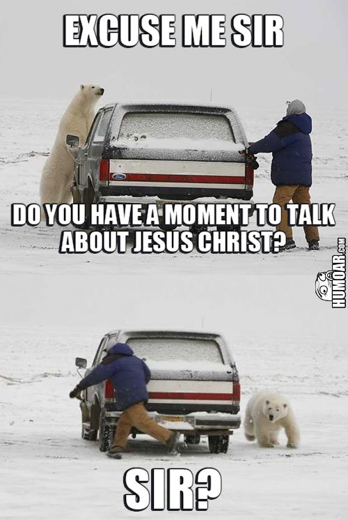 polar-bear-excuse-me-sir.jpg