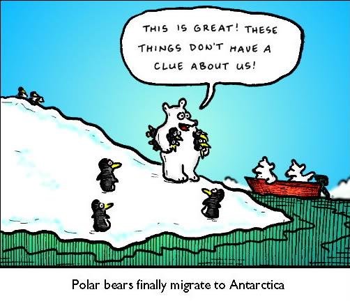 polar_bear_penguin-1.jpg