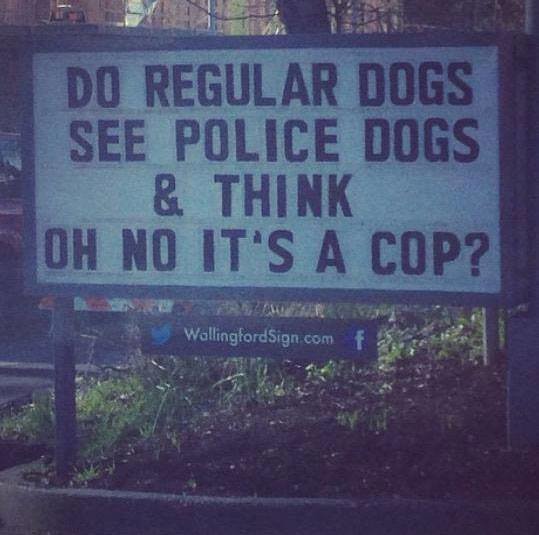 PoliceDogs.jpg