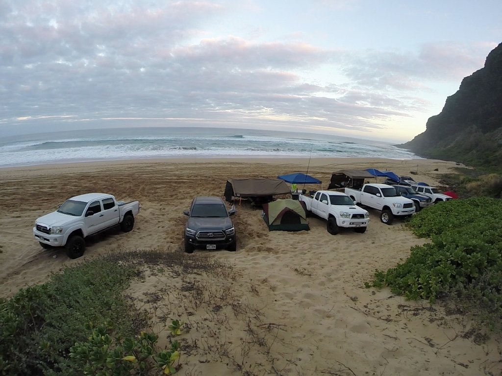polihale_a72ab0ecc04514cbfafbfc8b9f2db80ca9cdeaee.jpg