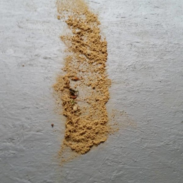 Pollen.jpg