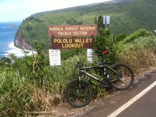 pololu_1d0b5e51bf7f5d5fb3b36e0b2dafae61bec959dc.jpg