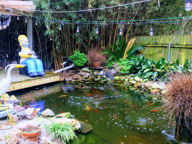 Pond.jpg