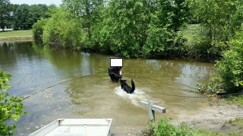 PondChase2a.jpg