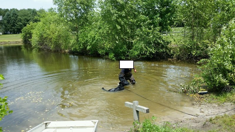 PondChase3a.jpg