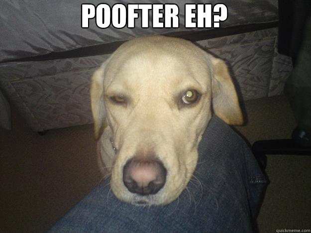 poof.jpg