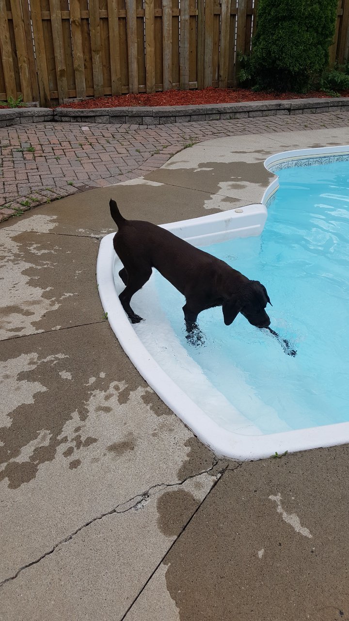 Pool.jpg
