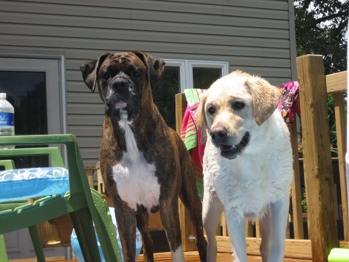 pool_ce822a95db099f3f759c2dfc7aa3a3773660c818.jpg
