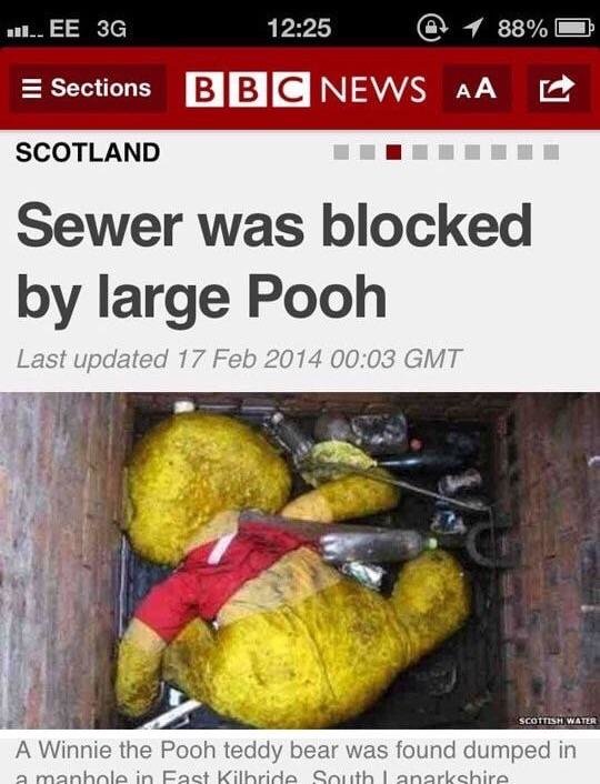 poop plug.jpg