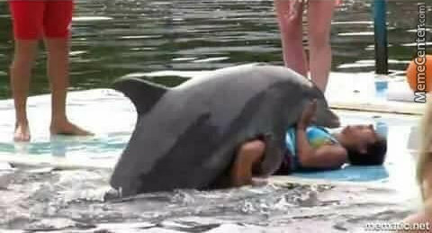 poor-flipper_o_7199453.jpg