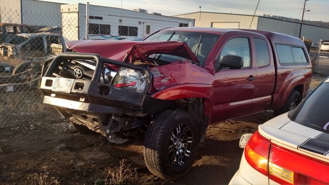 poor taco 2.jpg