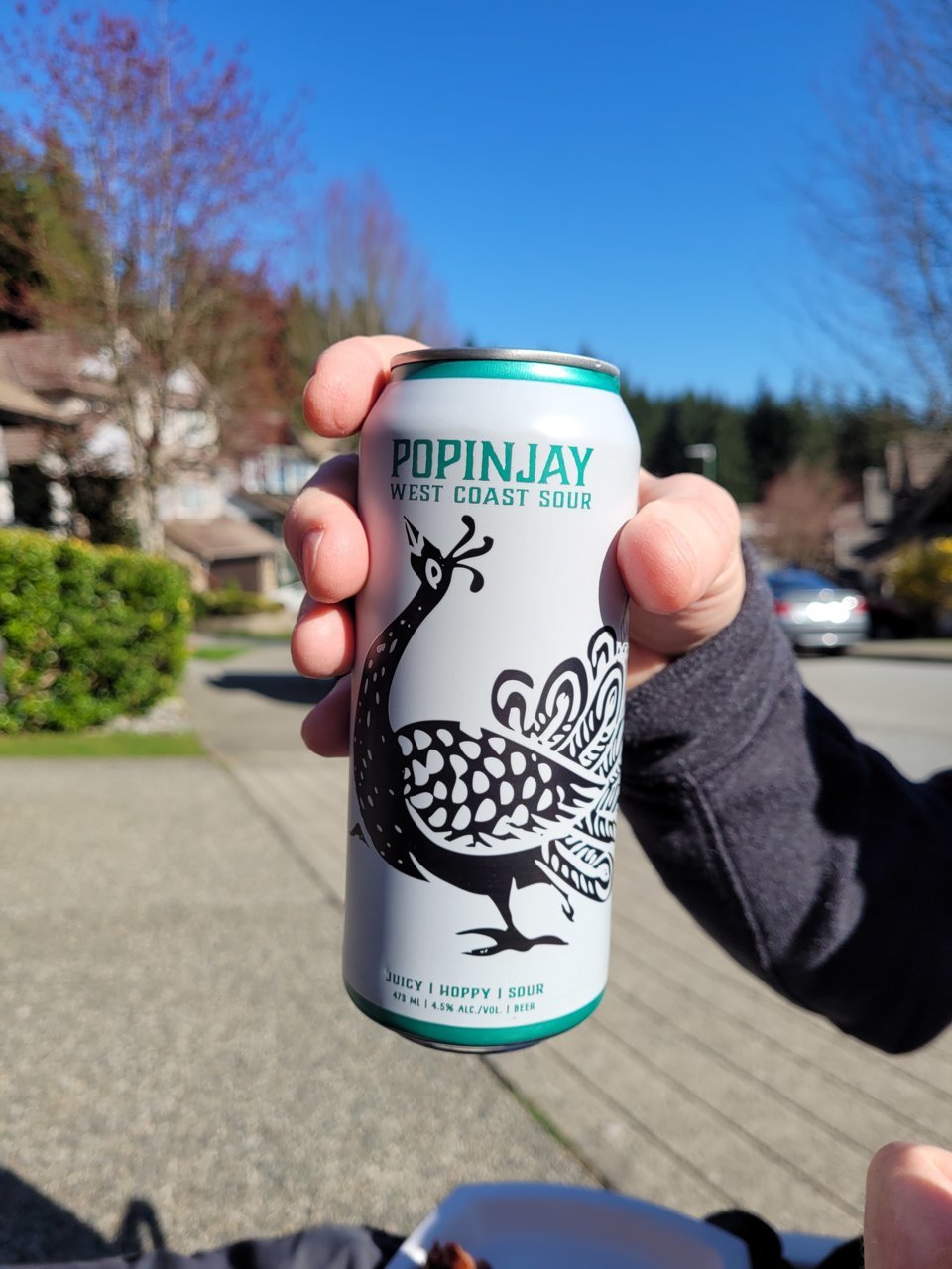Poppinjay (1).jpg
