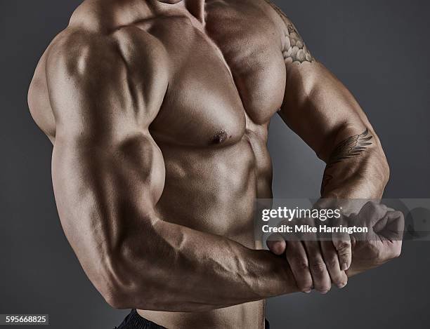 portrait-of-muscular-male-bodybuilder.jpg
