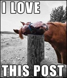 post.jpg