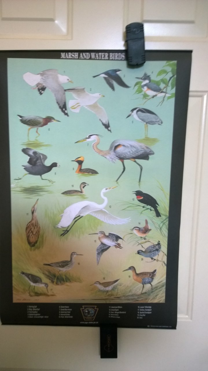 posters3.jpg