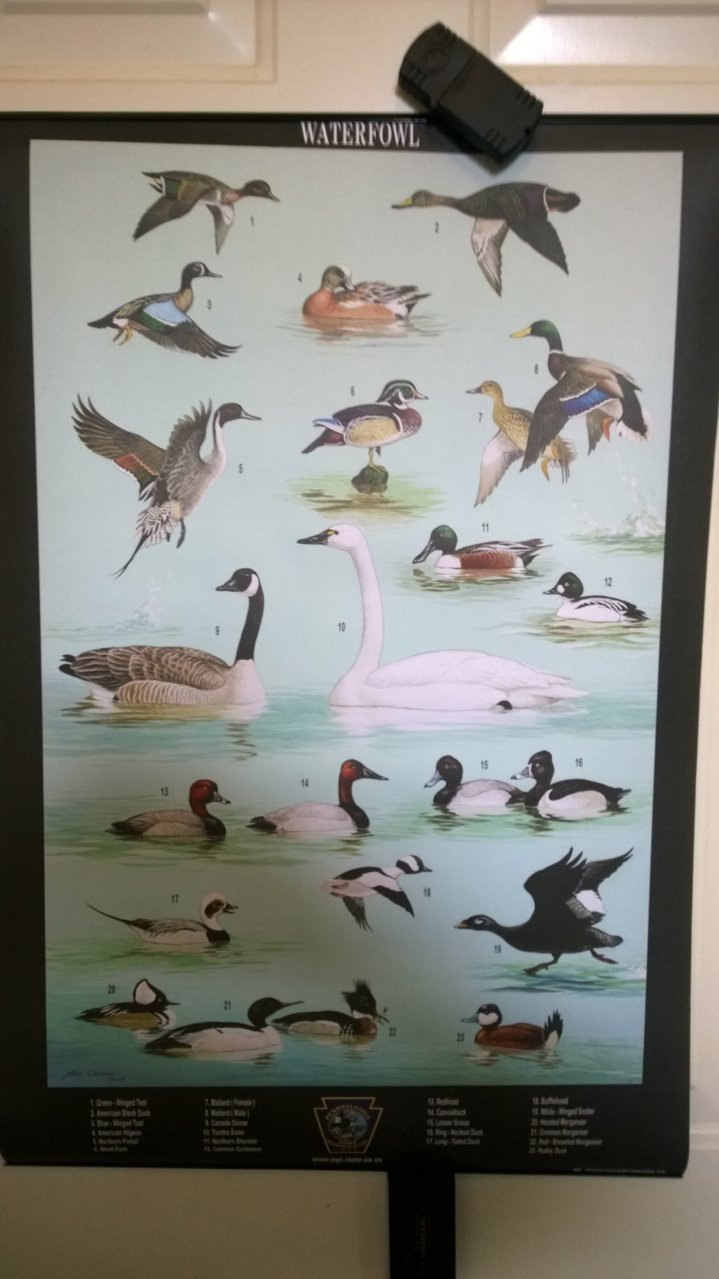 posters4.jpg
