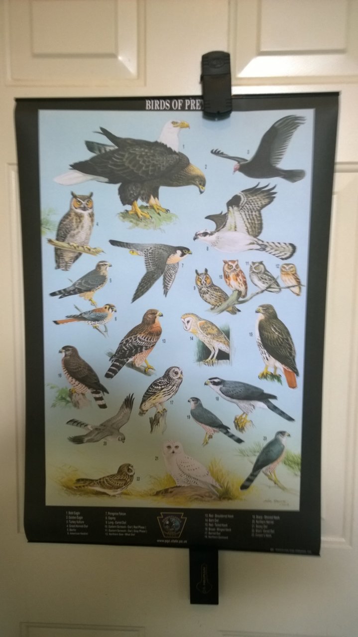 posters5.jpg