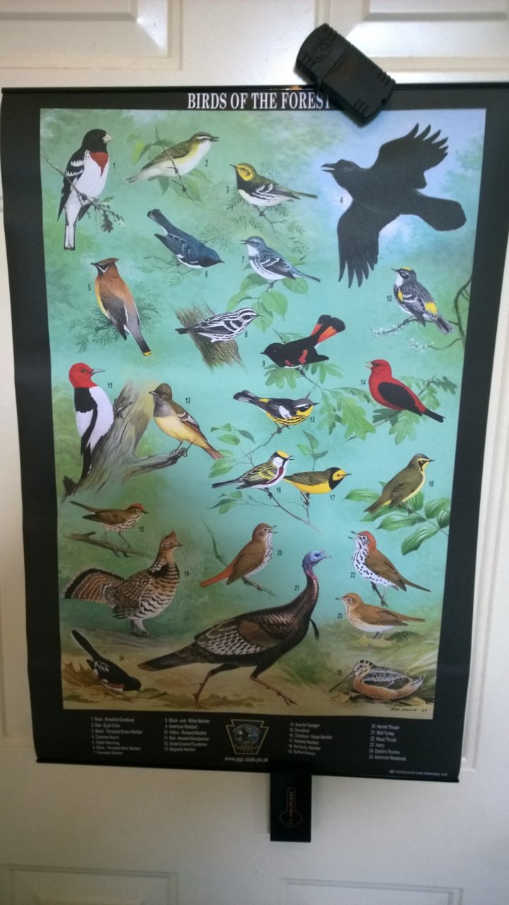 posters6.jpg