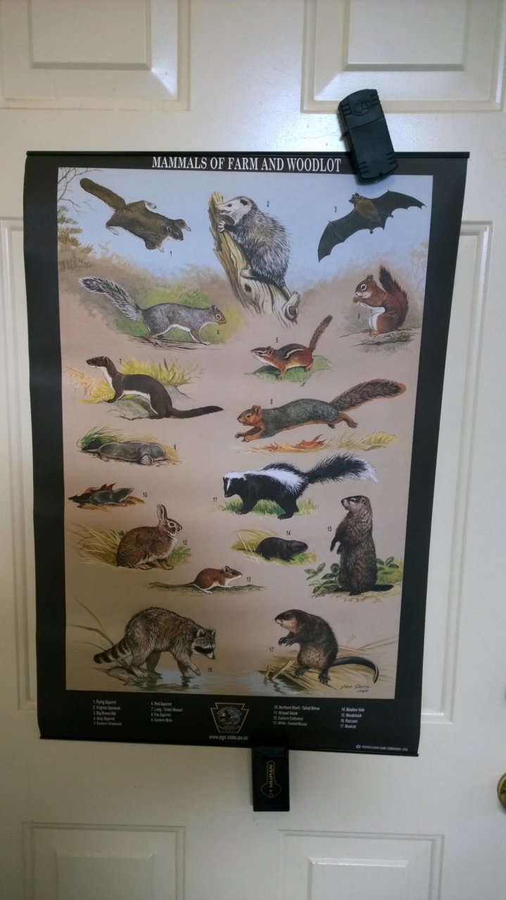 posters8.jpg