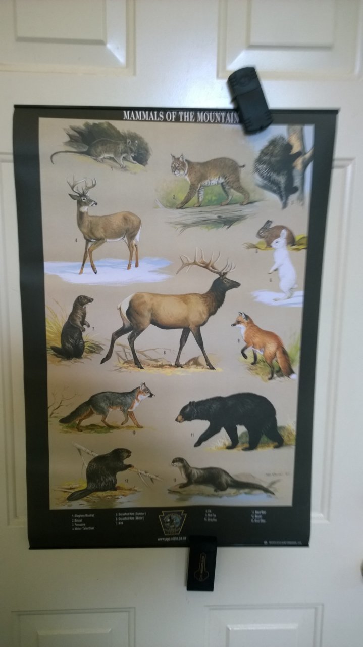 posters9.jpg
