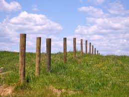 posts.jpg