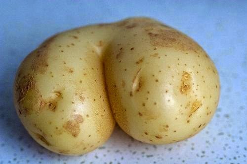 potato.jpg