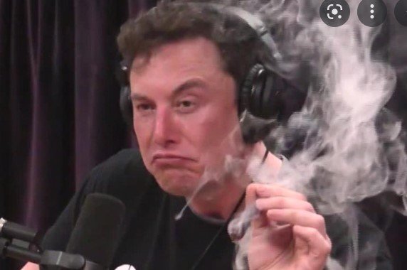 Potmusk.jpg