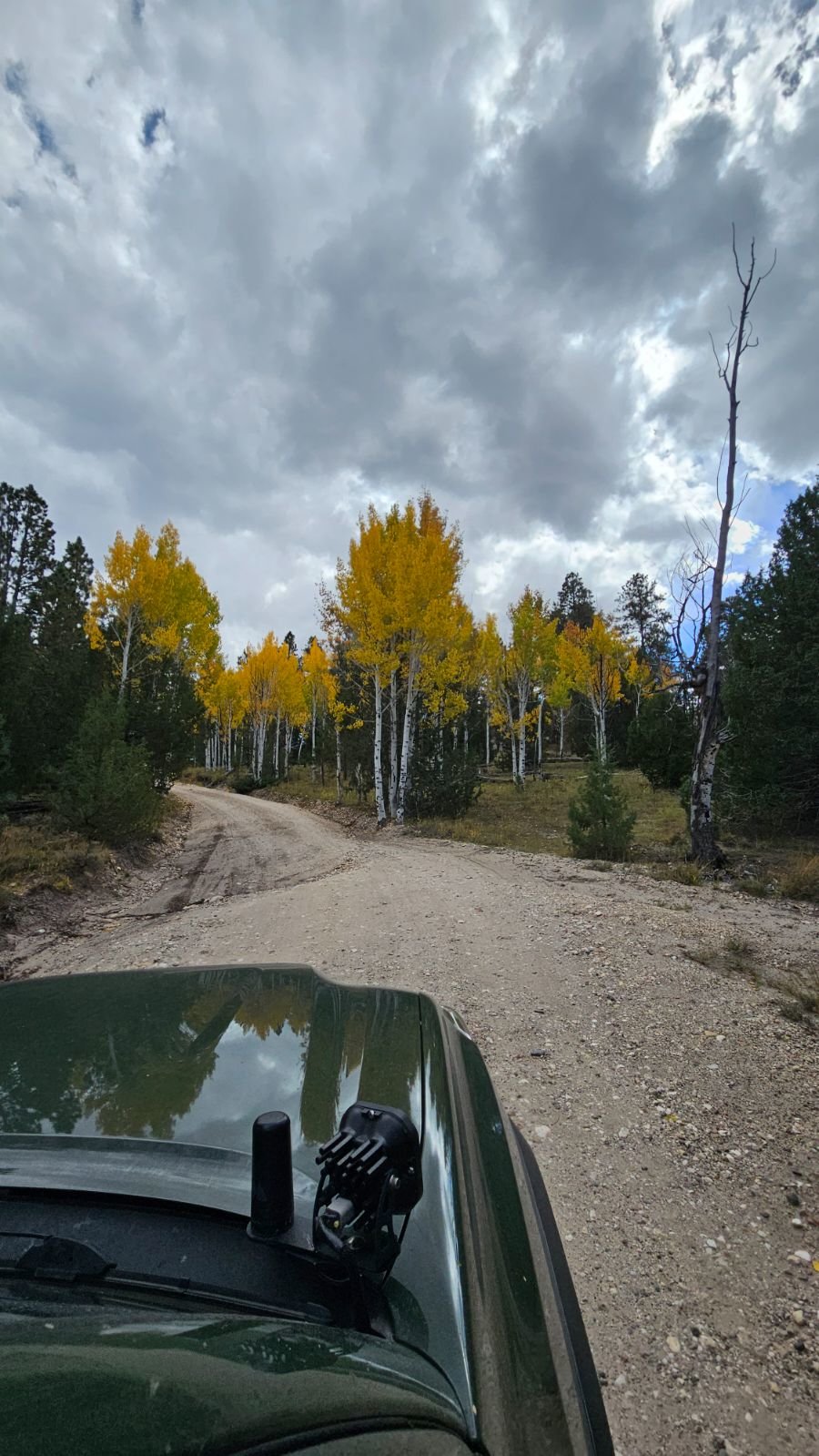 powell pint road.jpg